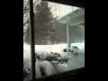 IMG_0628.MOV