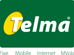 antananarivo-2013-waiters-race-logo-sponsor-telma